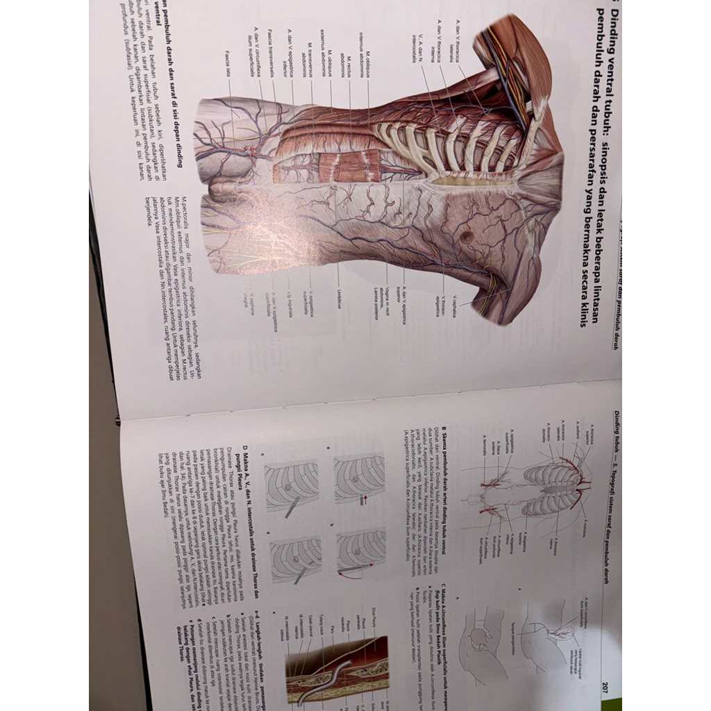 Buku Anatomi Prometheus Edisi 3