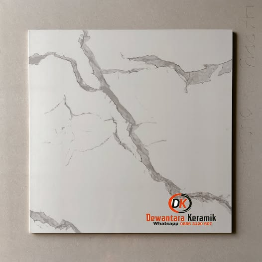 Granit Lantai Glossy 60x60 ARNA Daiva WT