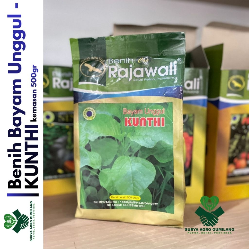 Benih Bayam Unggul KUNTHI | Benih Bayam cap Rajawali | Bibit Bayam