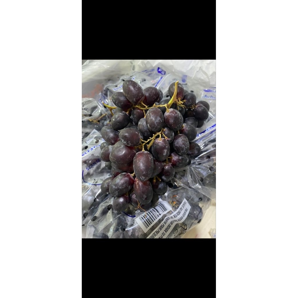ANGGUR HITAM. ANGGUR GARING MANIS SEEDLESS. AUTUMN BLACK GRAPE