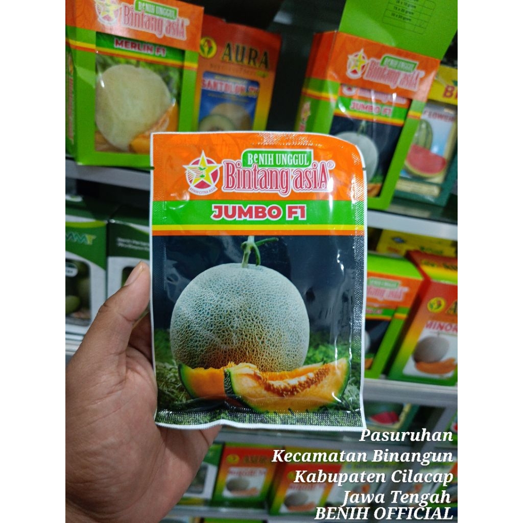 Benih Bibit Melon Jumbo F1 20 Gram Melon Daging Orange Berkwlitas Tinggi Bintang Asia