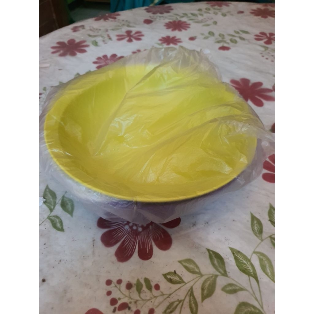 Tupperware deep plate 2set