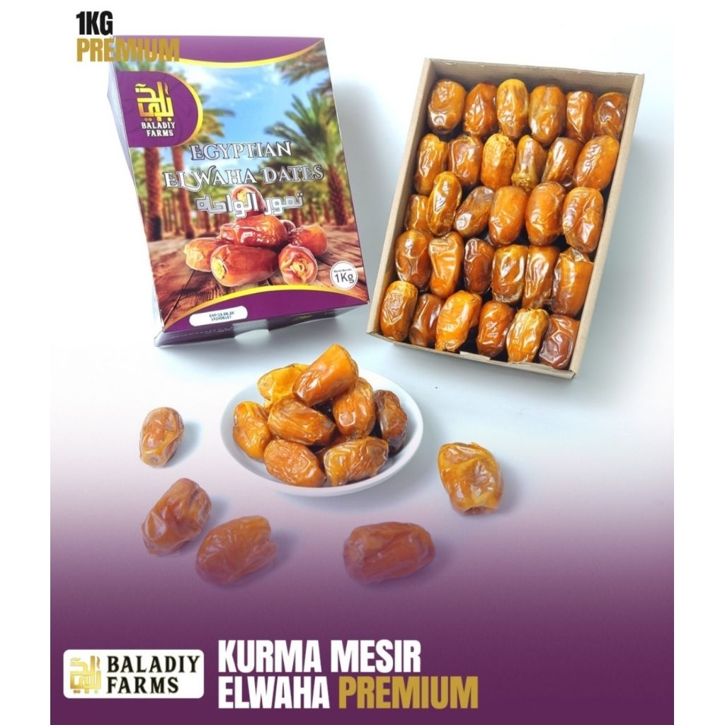 kurma mesir elwaha 1kg kurma premium