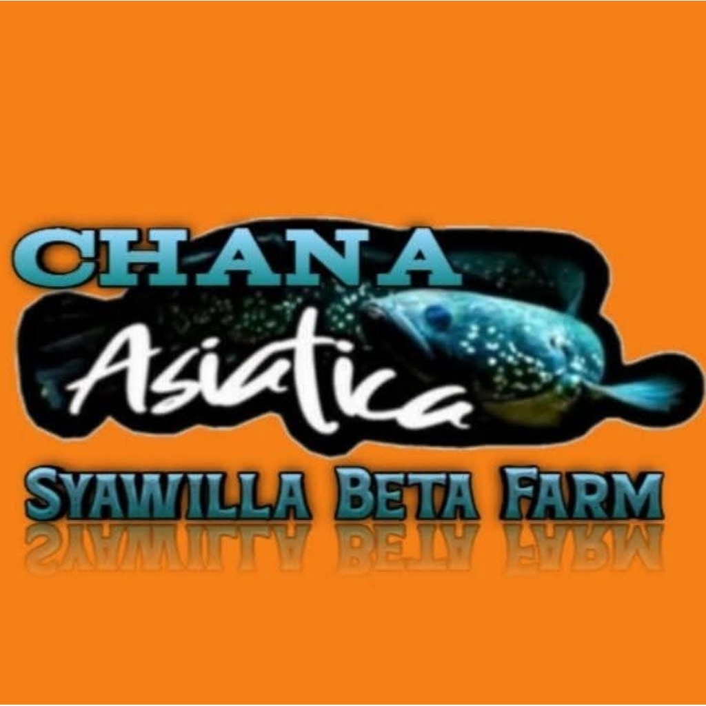 Chana Asitica Ws
