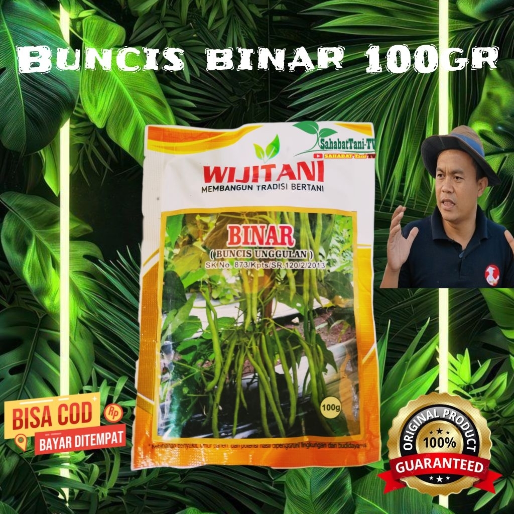BENIH BUNCIS BINAR 100GR WIJITANI