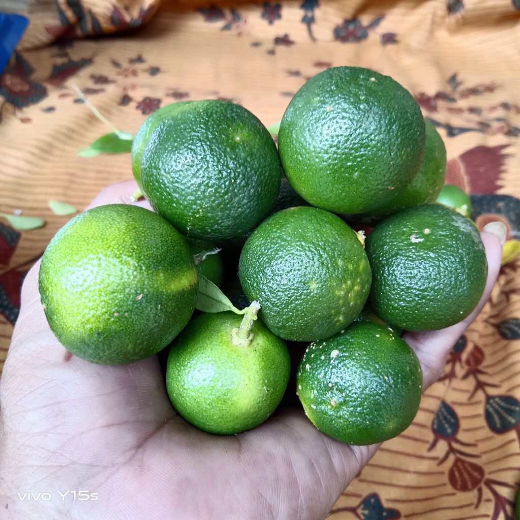 1kg jeruk sonkit/jeruk peras/jeruk kasturi/ukuran BESAR