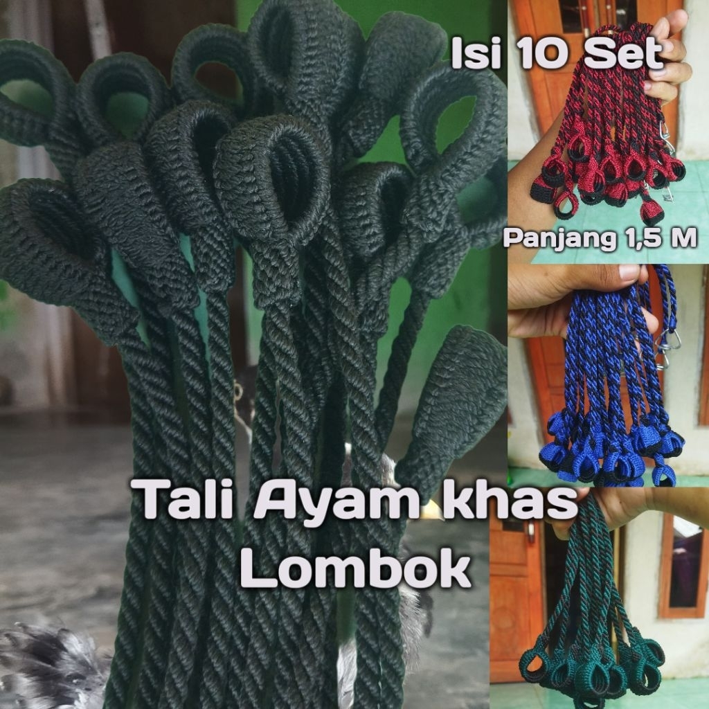Isi 10 Set Tali Ayam Philipin Dan Ayam Hutan.Panjang 2 Meter