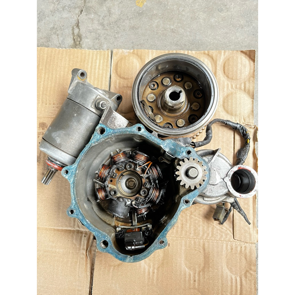 Dobel stater tiger revo tiger lama