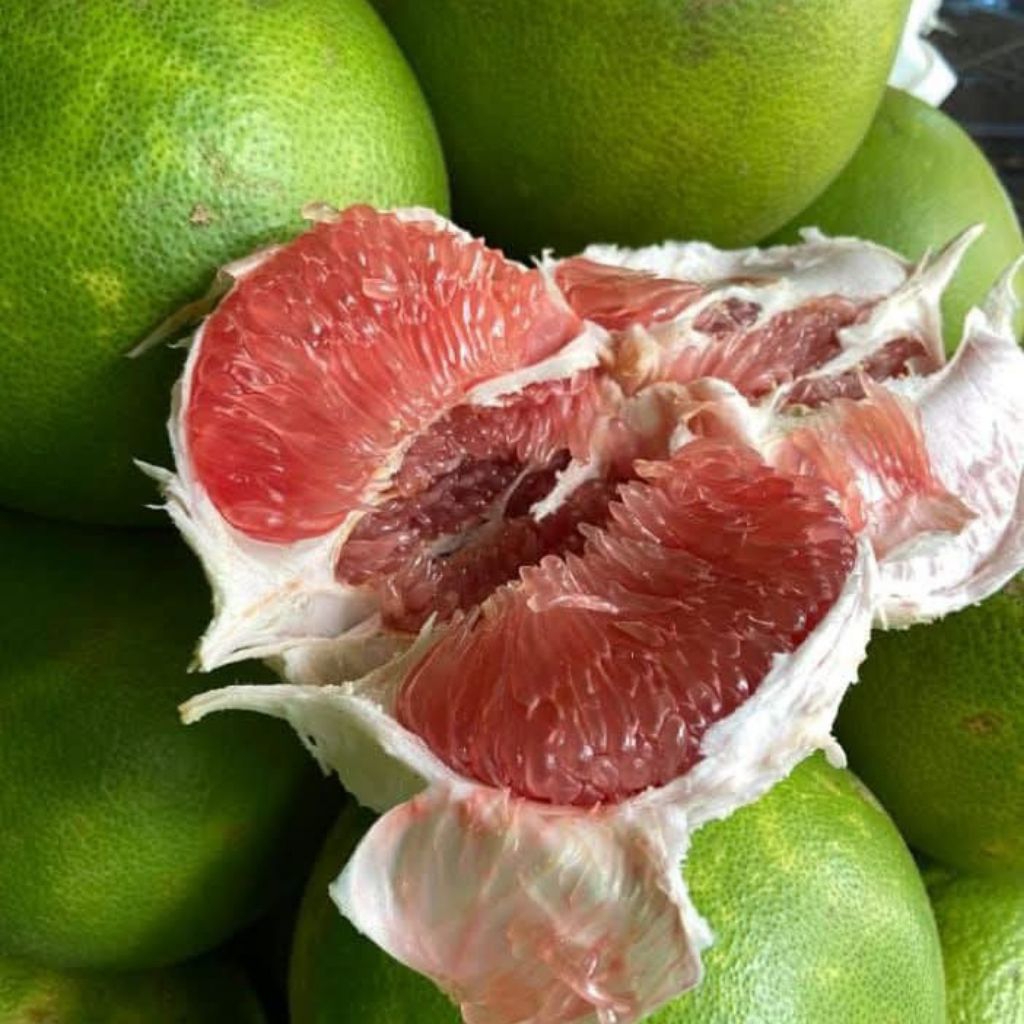 jeruk pamelo madu muria manis tanpa biji