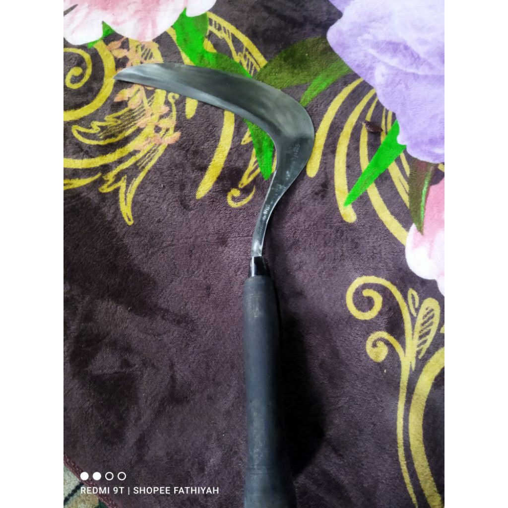 sabit rumput baja per asli