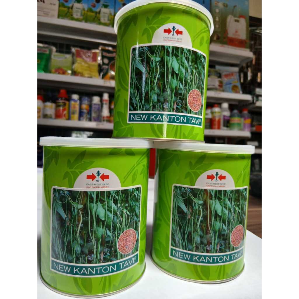 TERBARU  NEW KANTON TAVI KALENG 500GR BENIH KACANG PANJANG