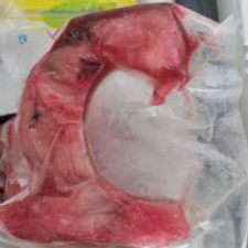 Rahang Tuna | Rahang ikan tuna super