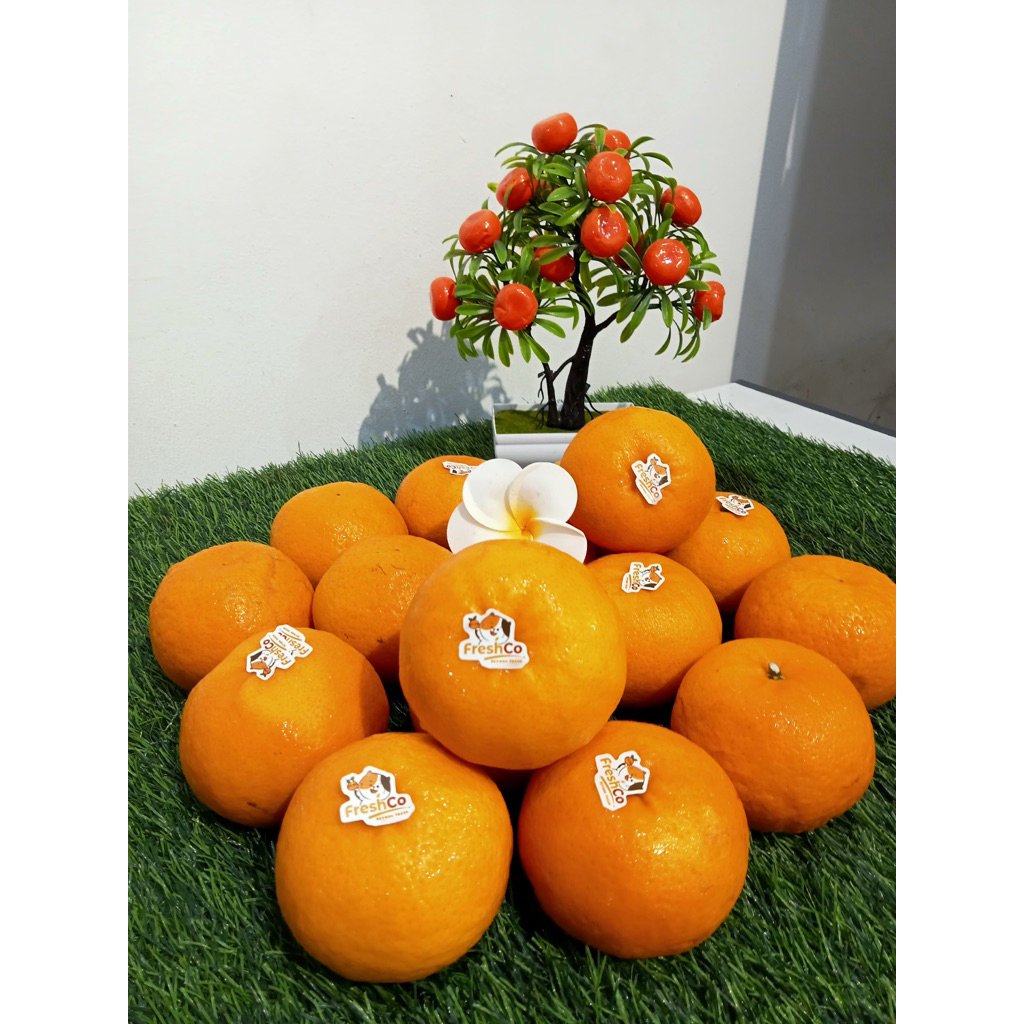 Buah Wogan Madarin jeruk mandarin Wokam wogam mandarin