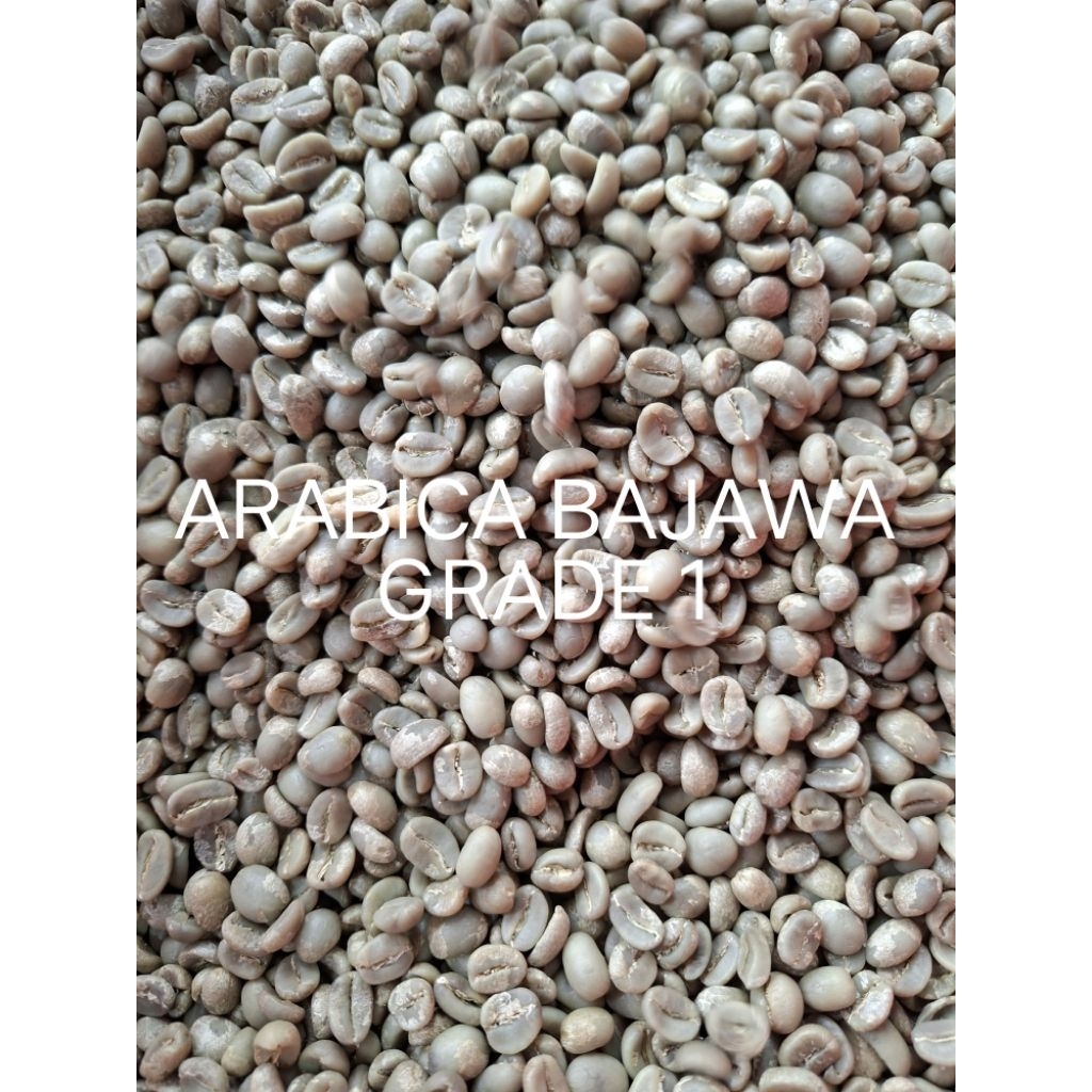KOPI ARABICA BAJAWA GREEN BEAN GRADE 1