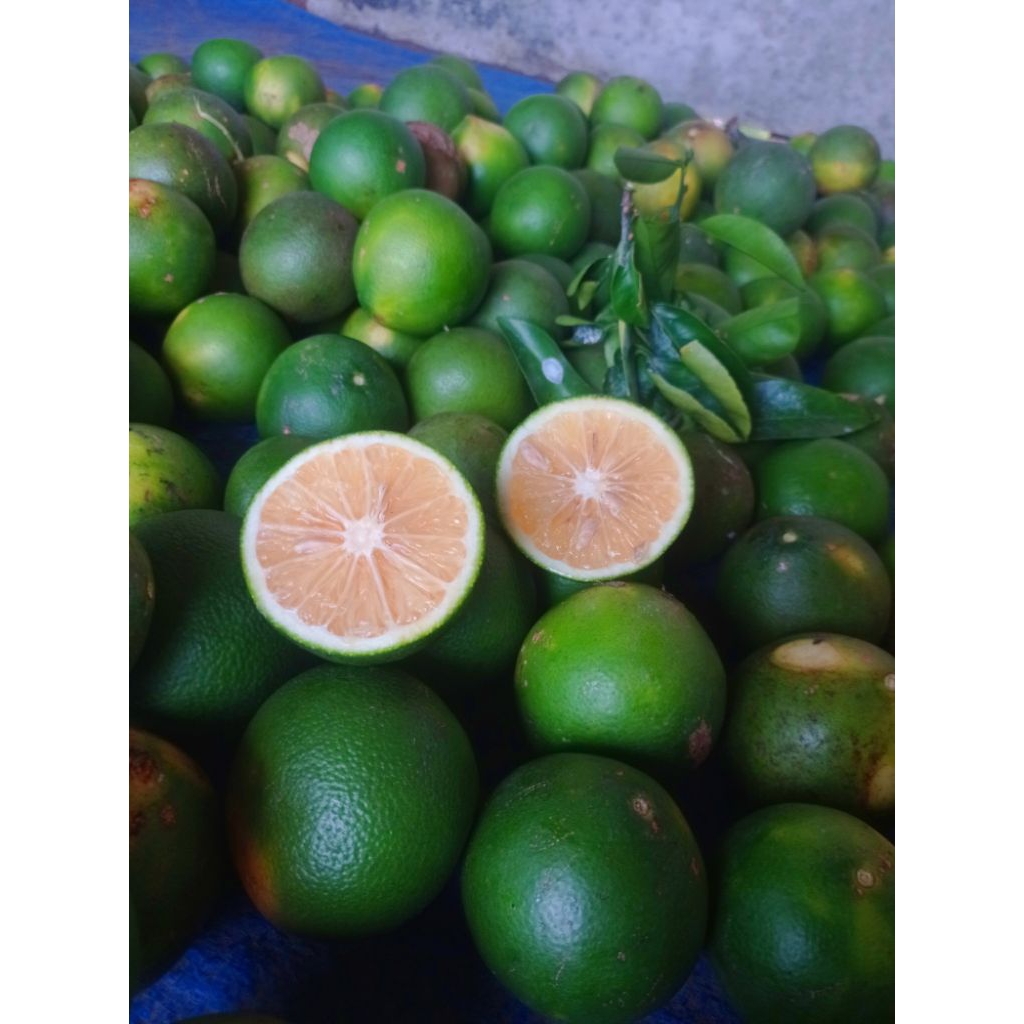 Jeruk Baby Segar 1 Kg / Jeruk Baby Java Lokal / Jeruk Baby Sragen