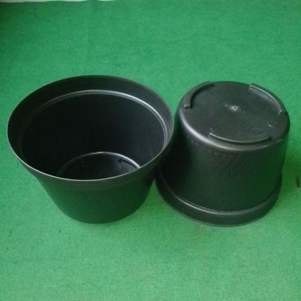 Pot Plastik Bunga Aglonema