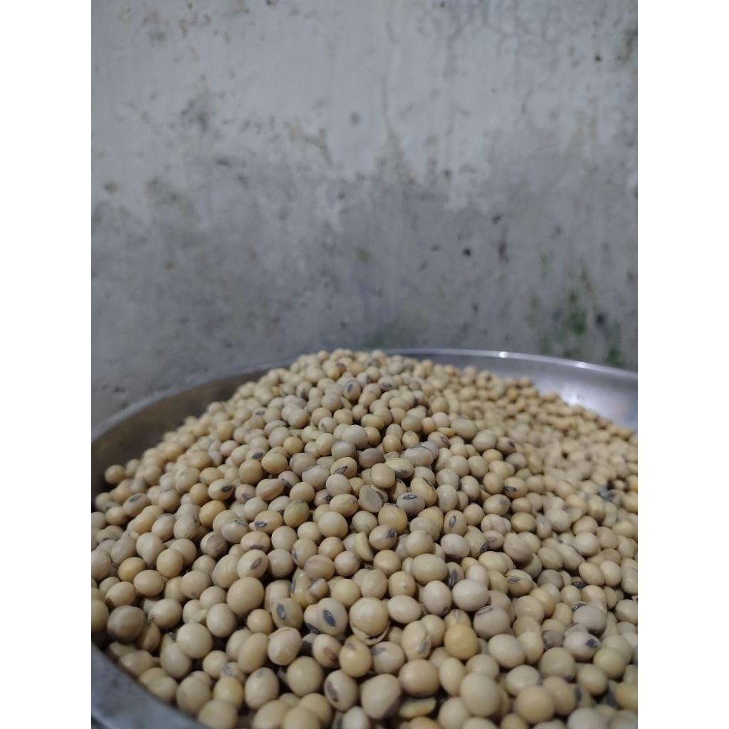 KACANG KEDELAI MENTAH SUPER