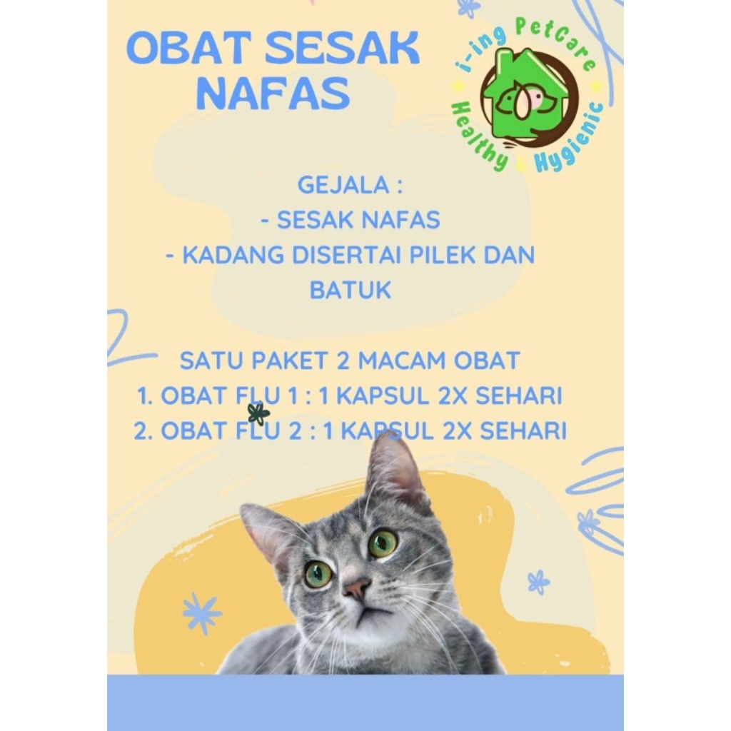 obat sesak nafas kucing