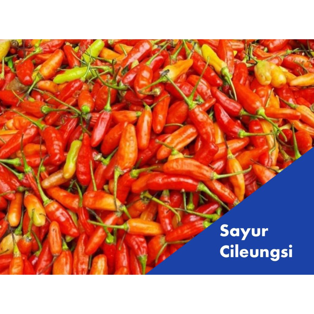 Cabe Rawit Setan/ Cabe Rawit Merah 250 gram