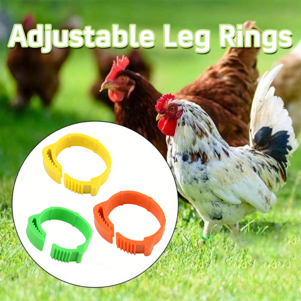 100pcs Gelang Kaki Anak Ayam / Cincin Klip Kaki Ayam Plastik / Klip unggas Cincin Ring Gesper