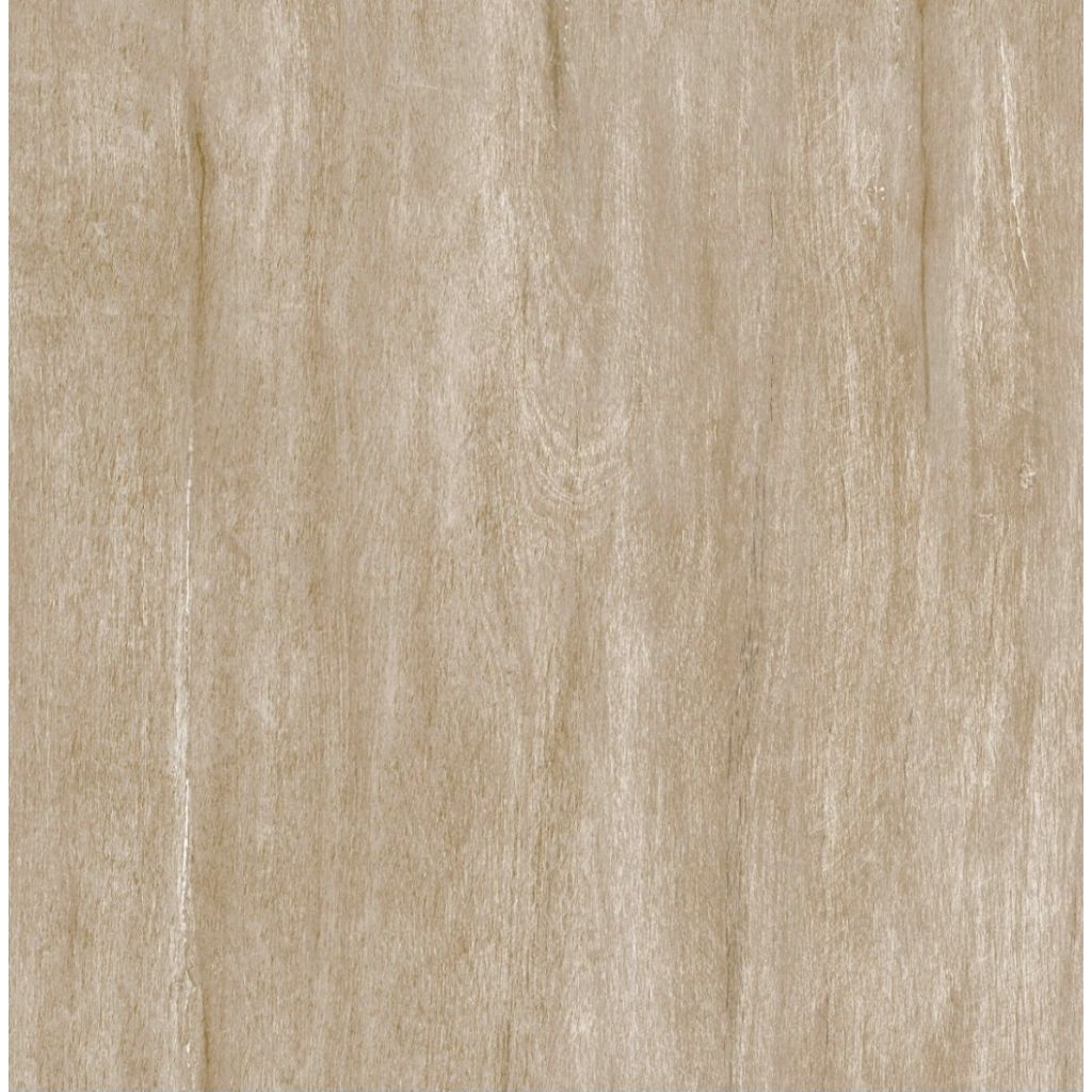 GRANITE 60×60 ARNA ALIZA BEIGE | MATT