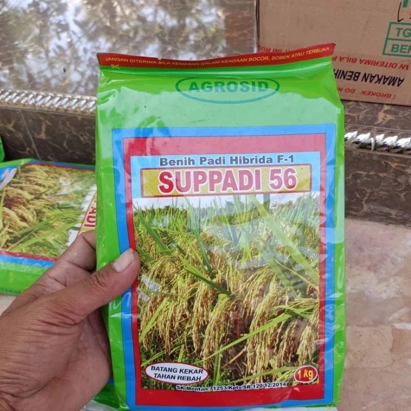BIBIT BENIH PADI HIBRIDA F1 SUPPADI 56 1KG