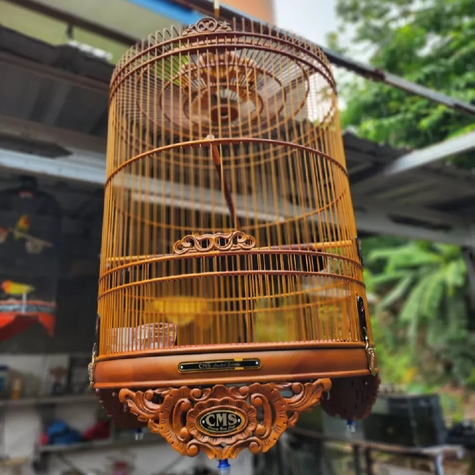 Sangkar Kandang Murai Merk CMS Bahan Kayu Jati Ukiran Mewah Kelengkapan Tangkringan Cepuk Karpet