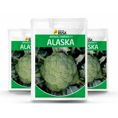 Biji 15 Benih Brokoli ALASKA F1