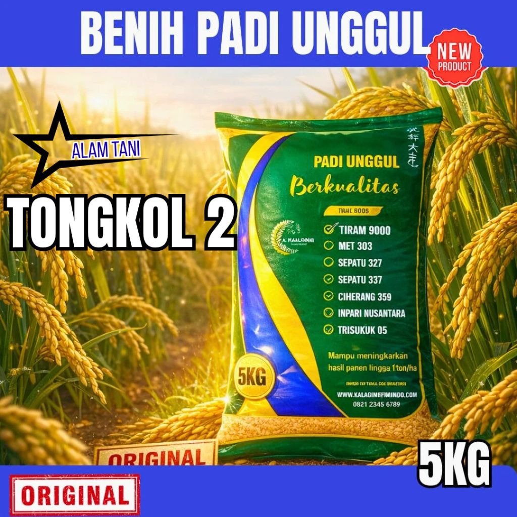 BENIH PADI TONGKOL 2 KEMASAN 5 KG BENIH PADI KUALITAS GENJAH BOBOT HST