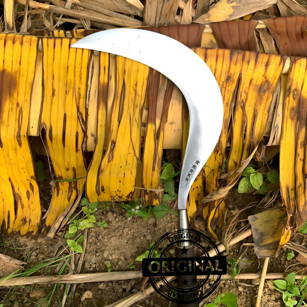 alat tradisional arit rumput asli baja per khas madura original cap bintang lima