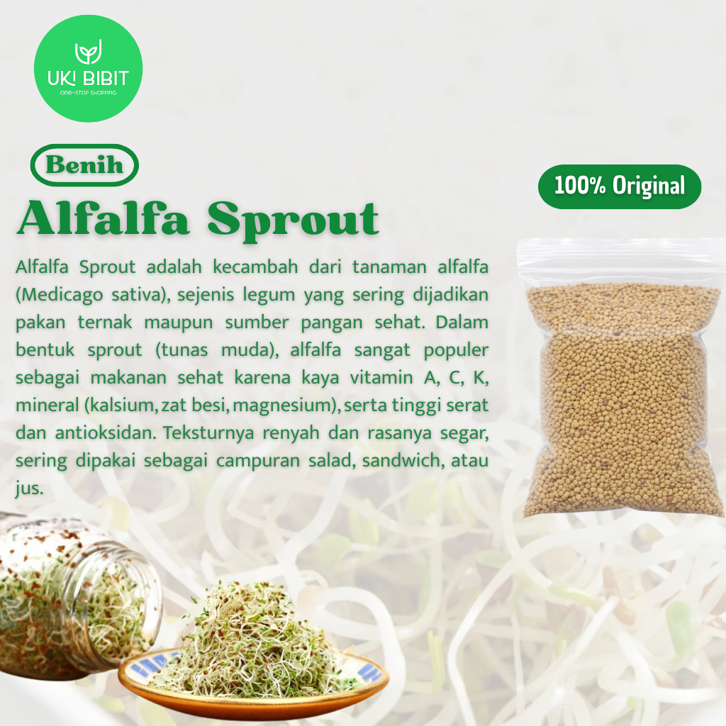 ( 100 Gram ) Benih Biji Alfalfa | Alfalfa Sprout | Lucerne | Medicago Sativa