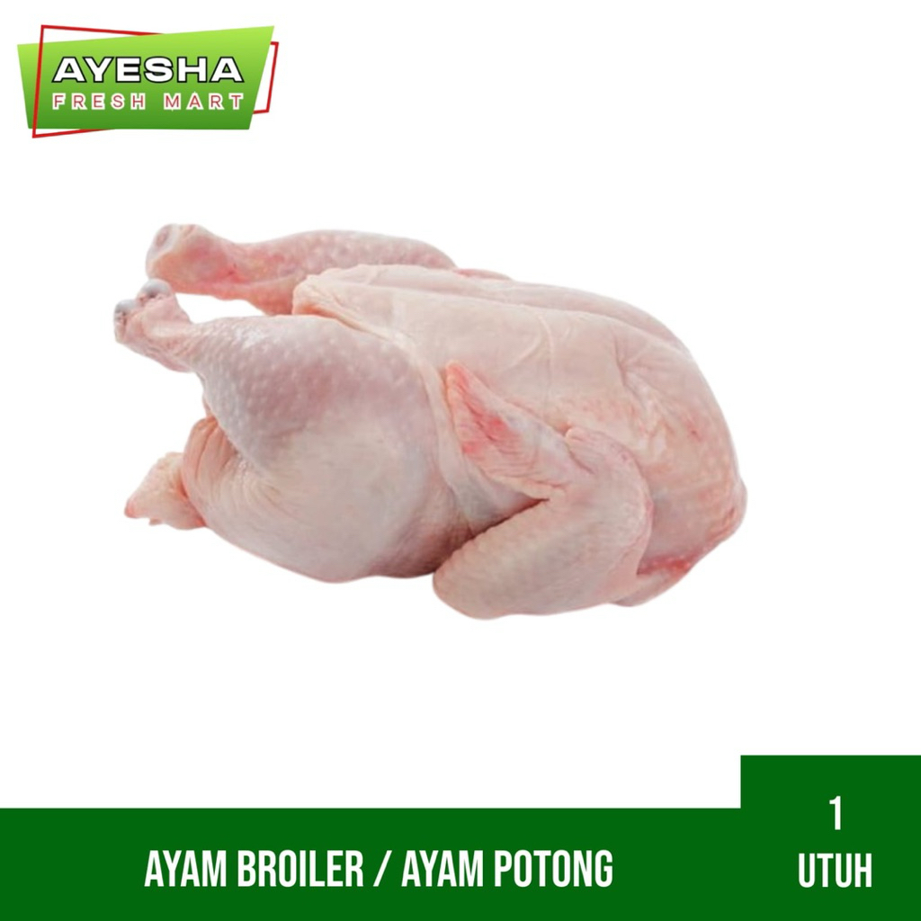Ayam segar (Ayam potong segar)
