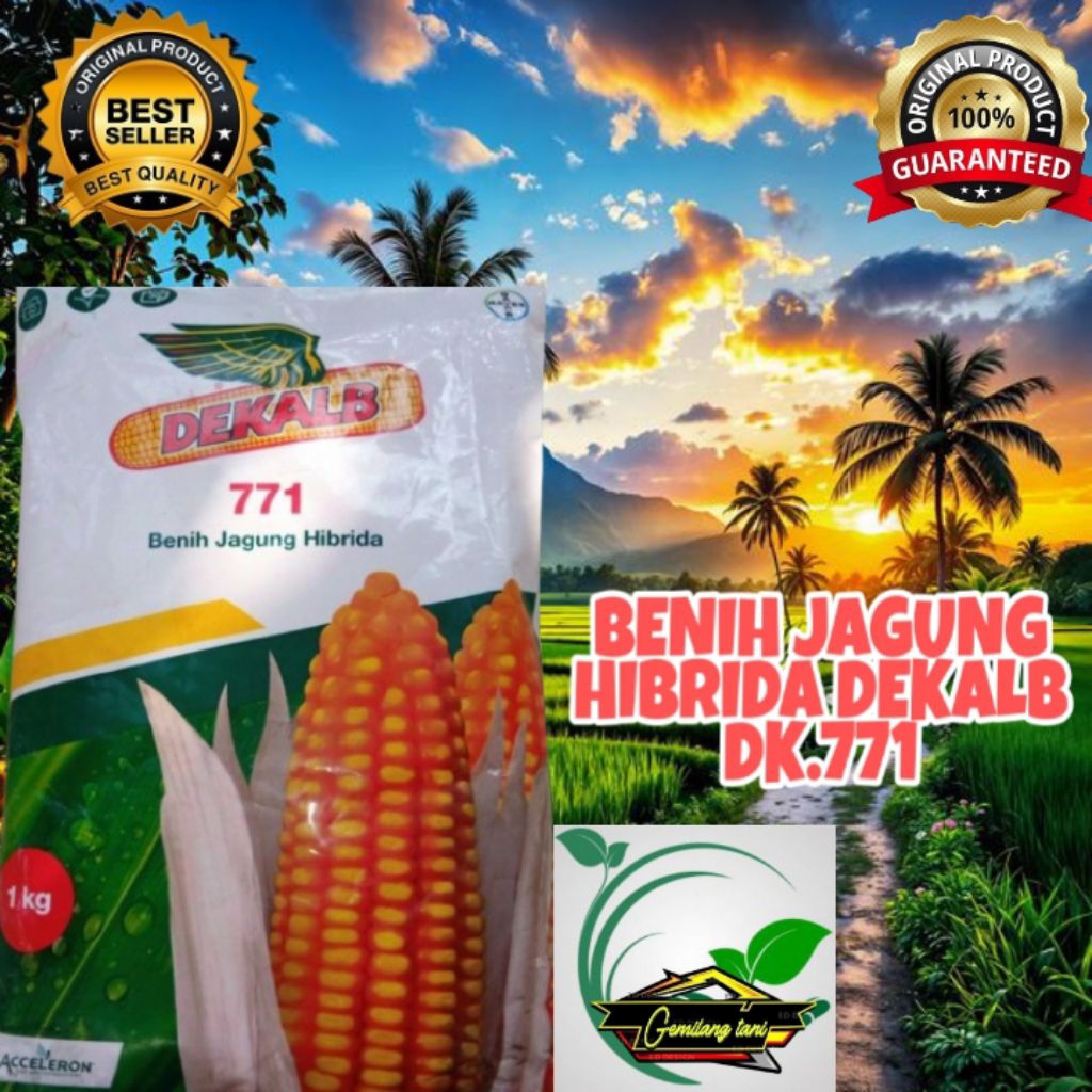benih jagung DK.771/DEKALB.771 , benih hibrida unggulan berkualitas original