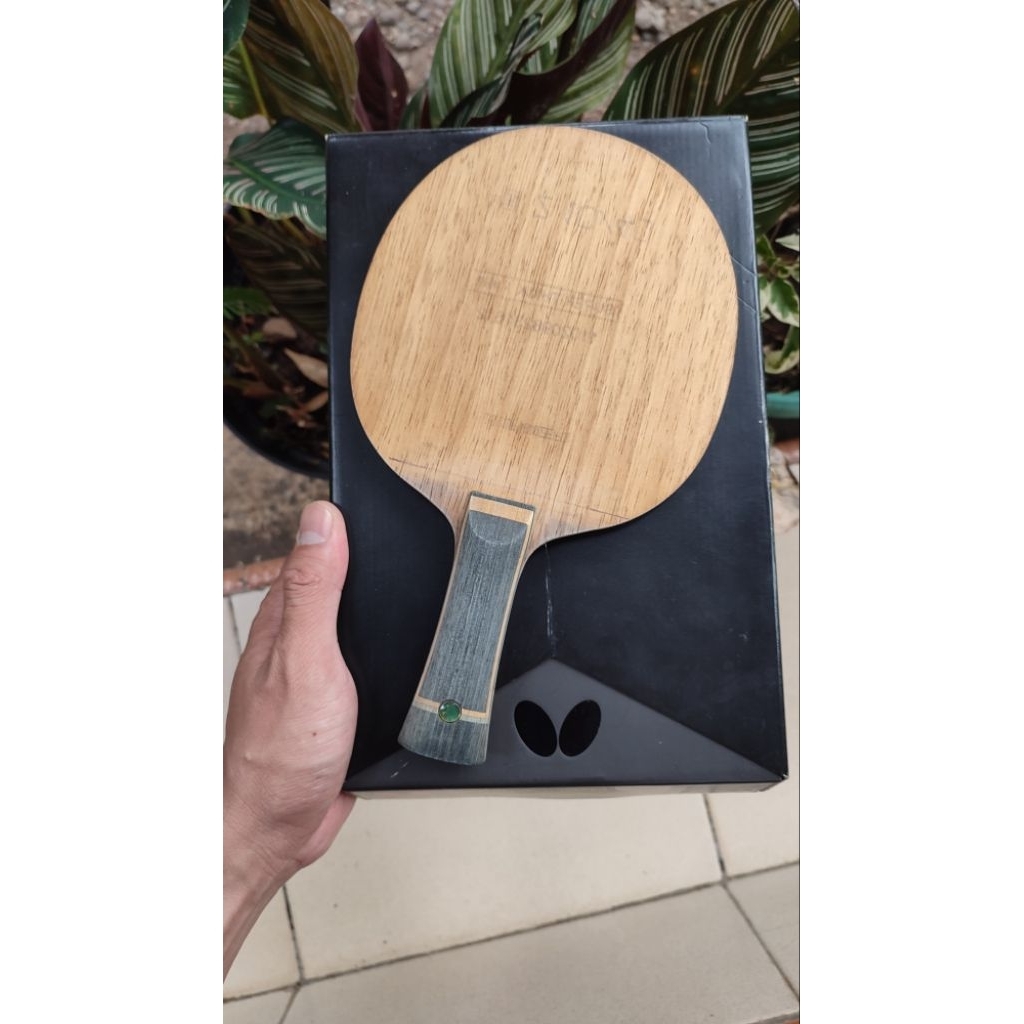 Bet Butterfly Dimirij Ovtcharov Second Box ada