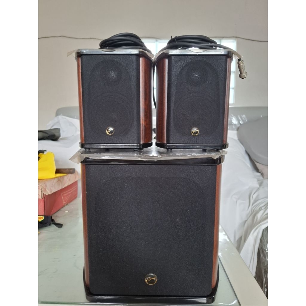 Swan HiVi M50W-MKIII 2.1 Speaker Second