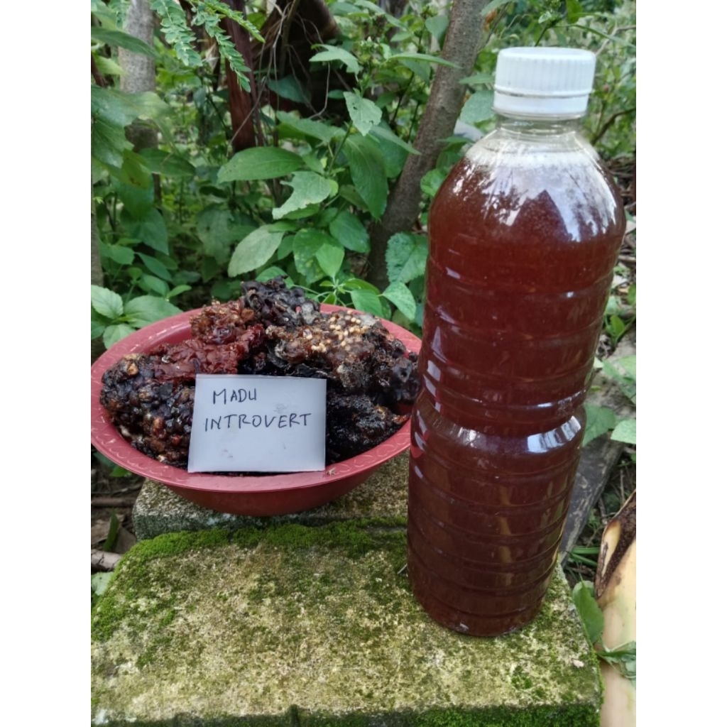 madu klanceng 1 liter liar levicep