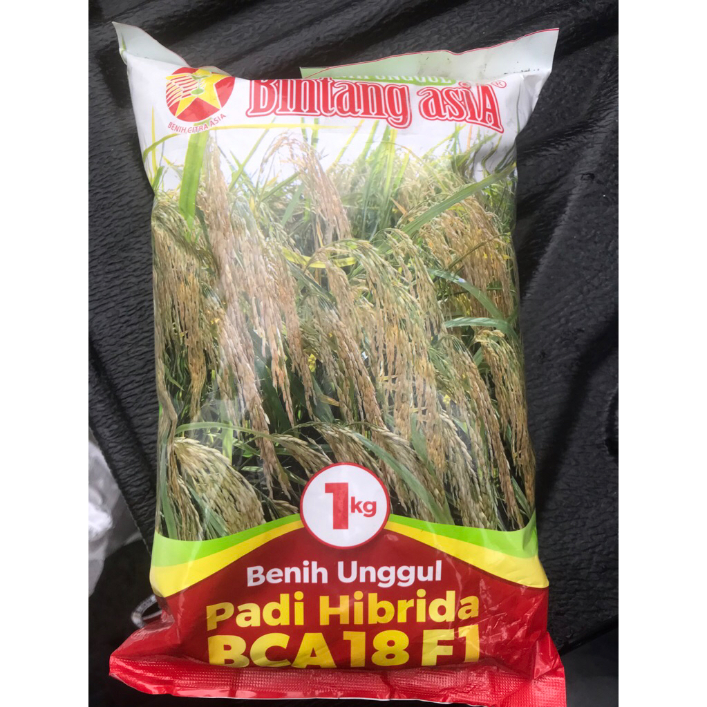 Benih BCA 18 F1 1 kg (Padi Hibrida)