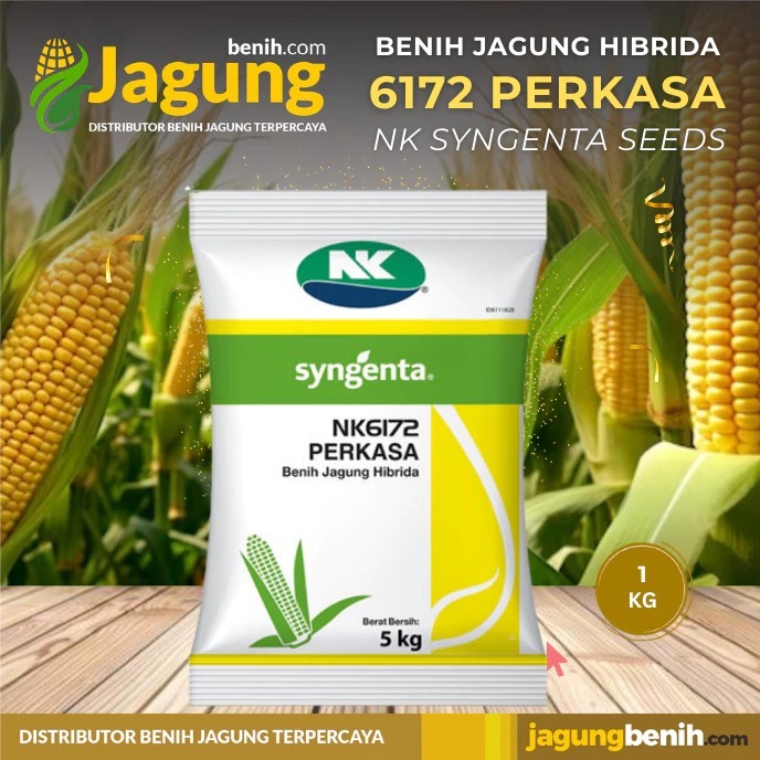 Benih JAGUNG HIBRIDA NK 6172 PERKASA 1KG #bibit jagung#jagung perkasa#bibit nk perkasa