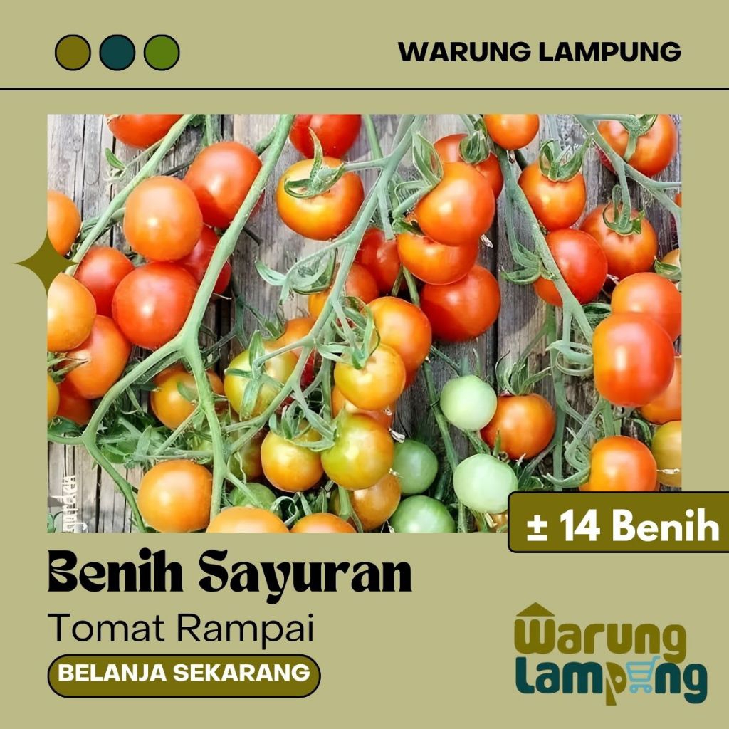 Benih Seribu – Bibit Tanaman Tomat Rampai UNTUK MIX KETIK “BENIH SAYURAN”