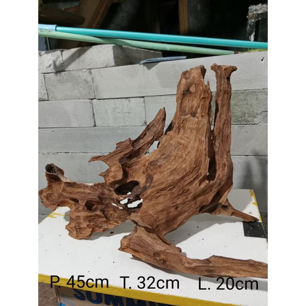 Kayu Rentek Besar panjang 30cm