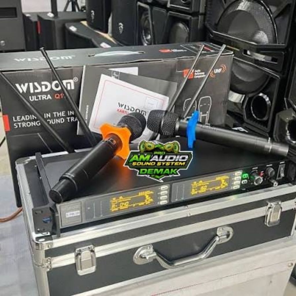 MIC WIRRWLLES WISDOM ULTRA Q11