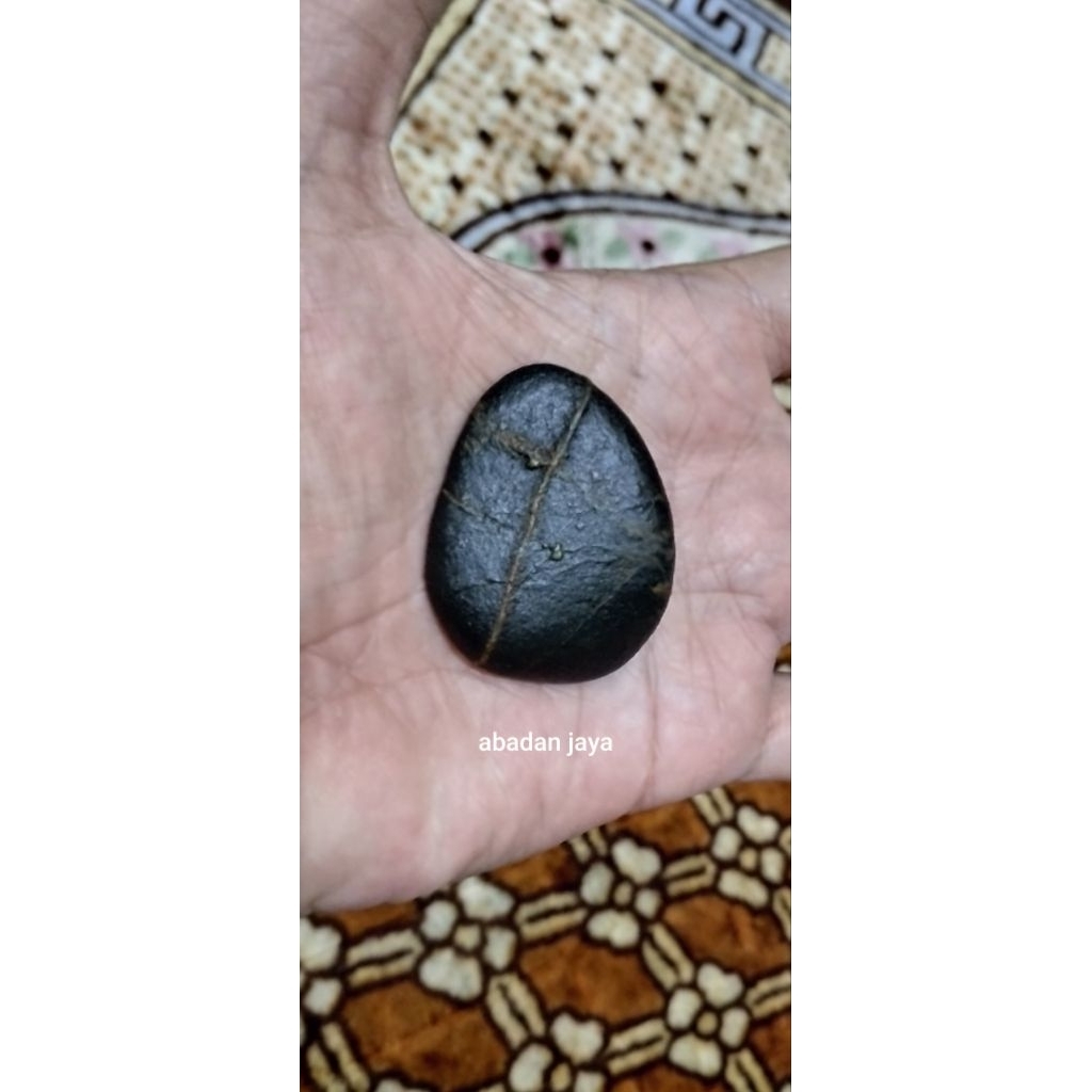 Batu Tapak Jalak Tali Timbul Original Thariqan Alam