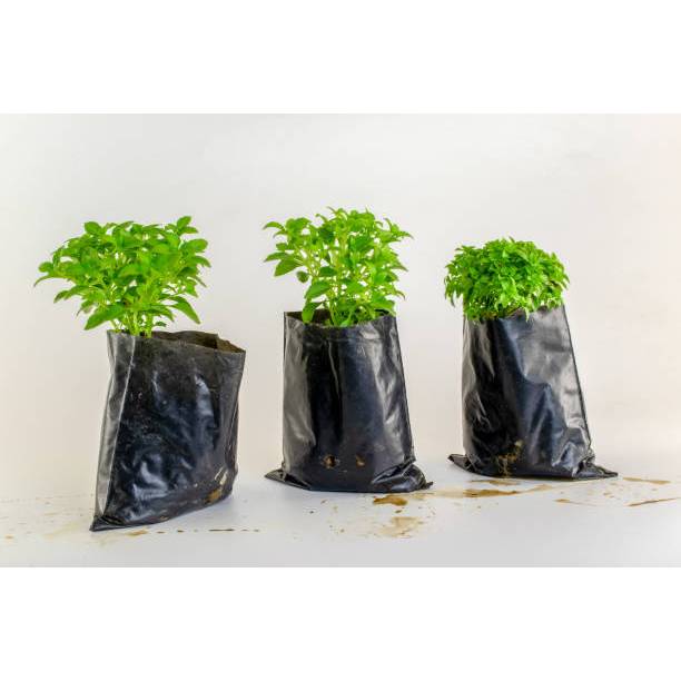 PETANI JAYA - POLIBAG SEDANG BESAR POLYBAG TANAMAN