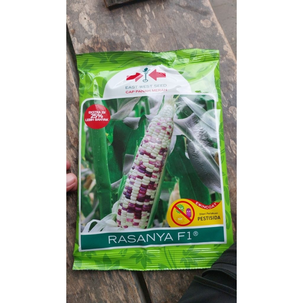 Jagung ketan Rasanya 250 gr, Rasa Pulen dan ada 3 warna