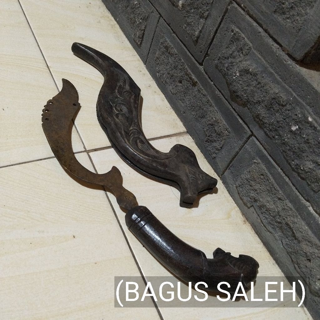 KUJANG LAWASAN KUNINGAN