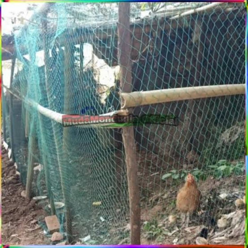 JARING KANDANG AYAM BEBEK 4 INC PANJANG  25m TEBAL & KUAT JARING AYAM BEBEK SERBAGUNA