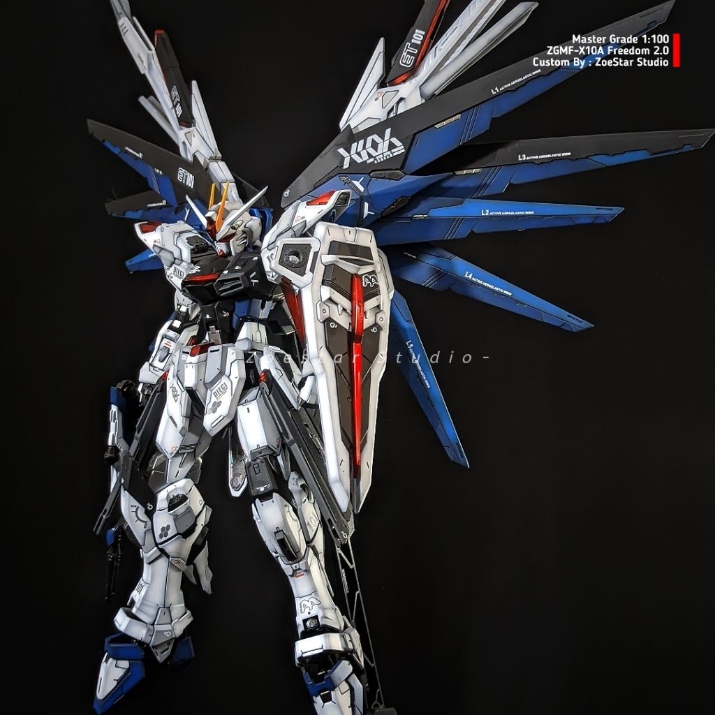 MG Freedom Custom Repaint Shading, Finishing Semi Matte