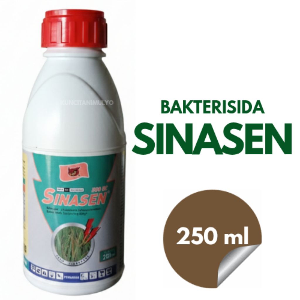 Bakterisida SINASEN 300 SC Obat Kresek, Potong Leher Padi, London Bawang Merah (250 ml)