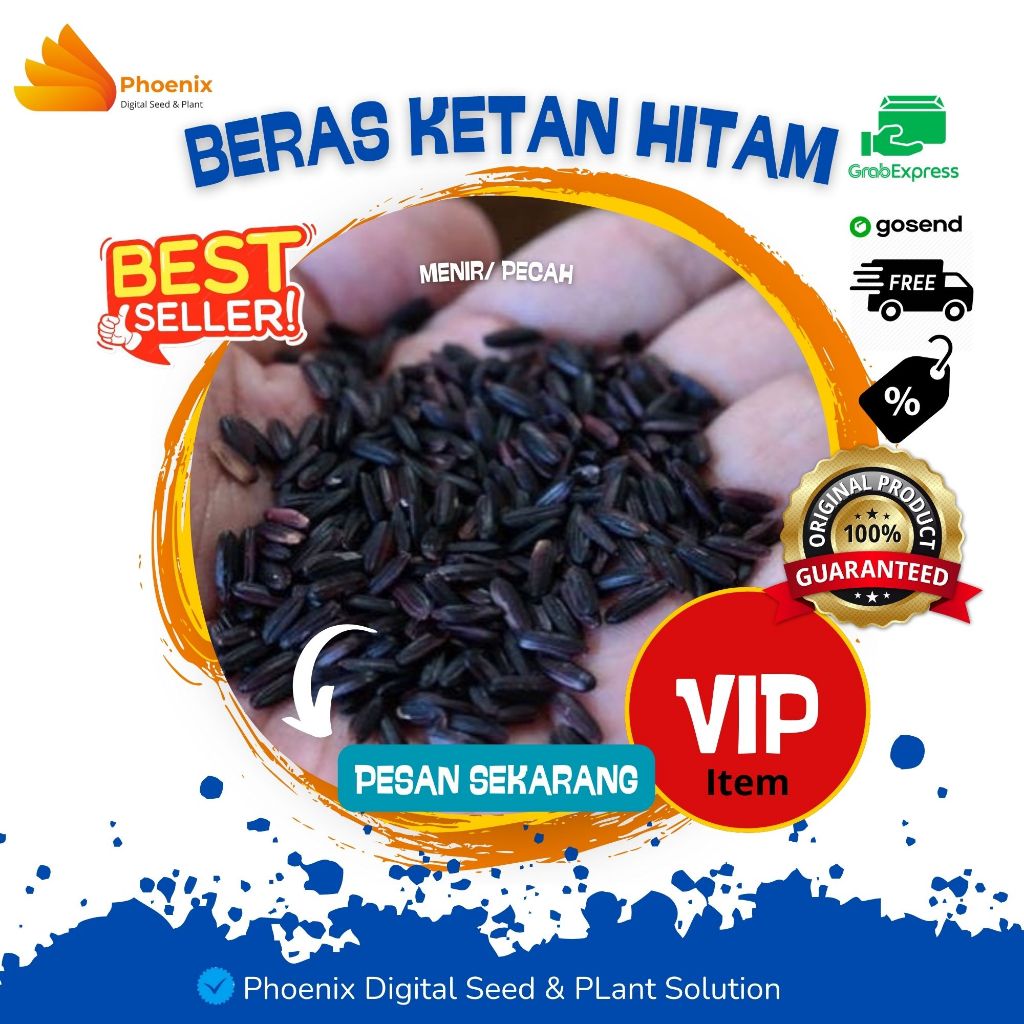 BERAS KETAN HITAM BERKUALITAS WANGI DAN BERSIH