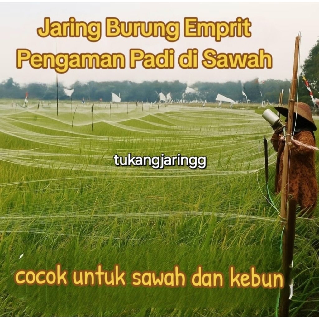 Jaring Burung Sawah Emprit Padi